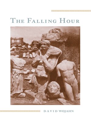 cover image of The Falling Hour